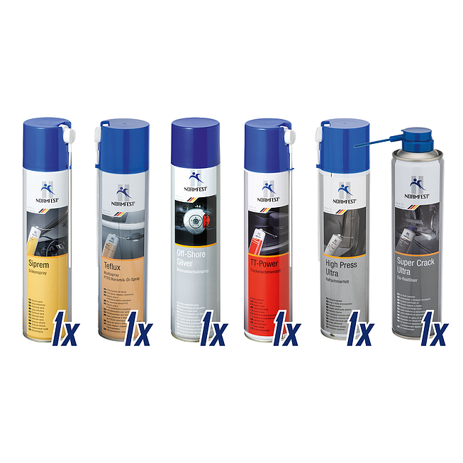 Werkstatt-Sprayset für Wartung und Inspektion 6 Spraydosen (Normfest)